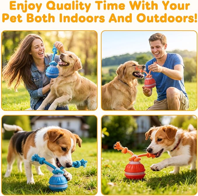 2Pcs Zealburst Dog Toy, Interactive Dog Toys, 360°Interactive Smart Rolling Pet Ball, USB Rechargeable Smart Motion for Bored Pet Cats Dogs, Interactive Dog Balls (Orange+Blue)