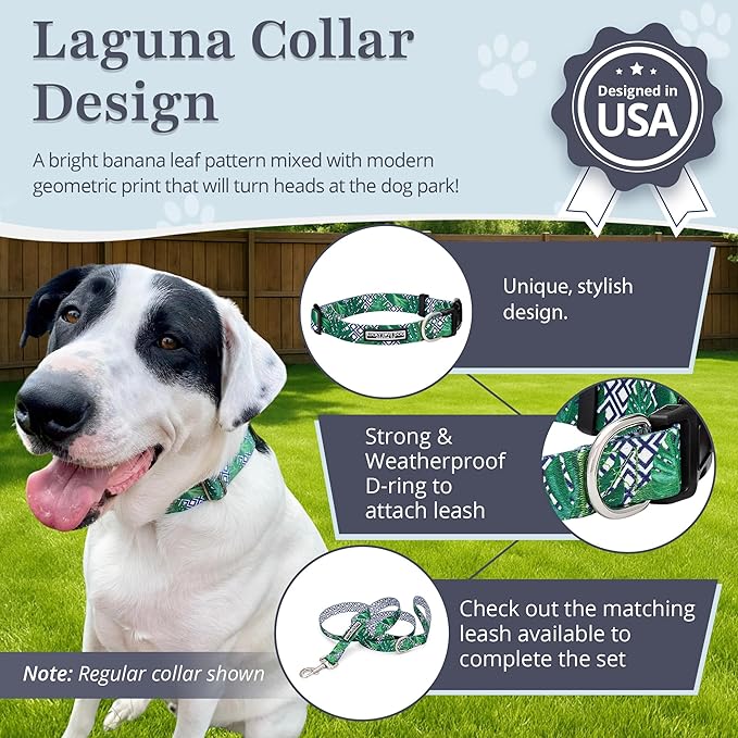 Lucky Love Dog Collar, Beautiful & Vivid Pattern X-Small Boy Dog Collars, Easy On & Off Clasp Accessory (Blue Laguna, XS)
