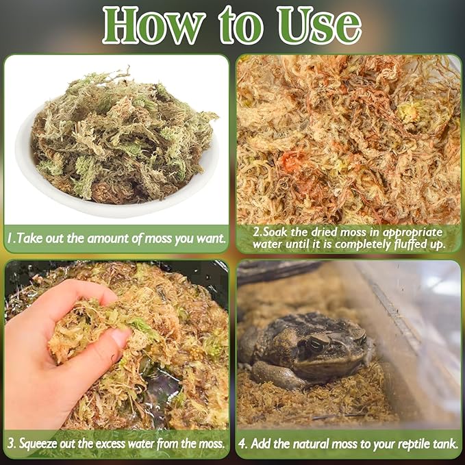 Halatool 1.5LB Natural Sphagnum Moss for Reptiles Premium Reptile Moss Ideal Terrarium Moss for Box Turtles Hermit Crabs Leopard Gecko Snakes and Hamsters Enclosure