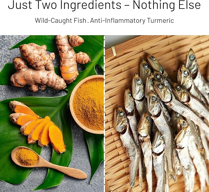 Happy Gluten Free Herring Dog Treats – Wild-Caught Dried Fish for Dogs & Cats – Single Ingredient, High Protein Fish Treats – Made in Alaska, Infused with Turmeric (3.5 oz)