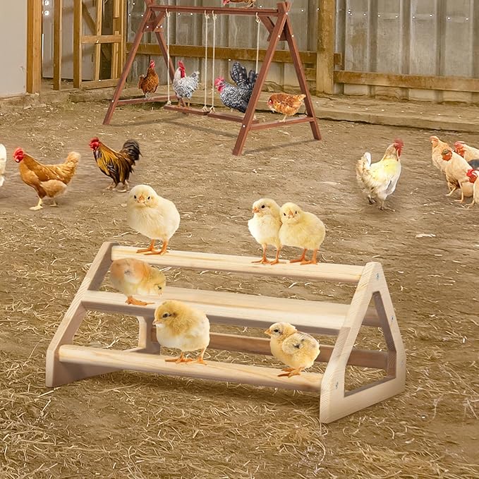 PETSFIT Chick Perch Prevent Rotation Design, Strong Wooden Roosting Bar, Easy to Assemble and Clean, Fun Toys for Chick