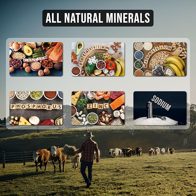 Animal Himalayan Salt Lick on Rope for Horses, Deer, Rabbits, Cows and Other Livestock | Lick Salt for Deer | Digestive Aid for Animals | Horse Treats (Horse-6LB)