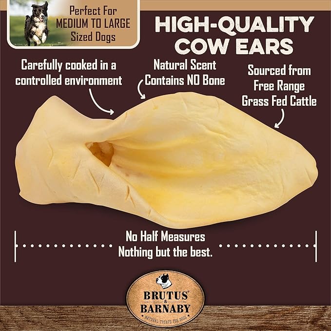 BRUTUS & BARNABY 12 Cow Ears + 12 Bully Sticks, All Natural Protein Dog Treats