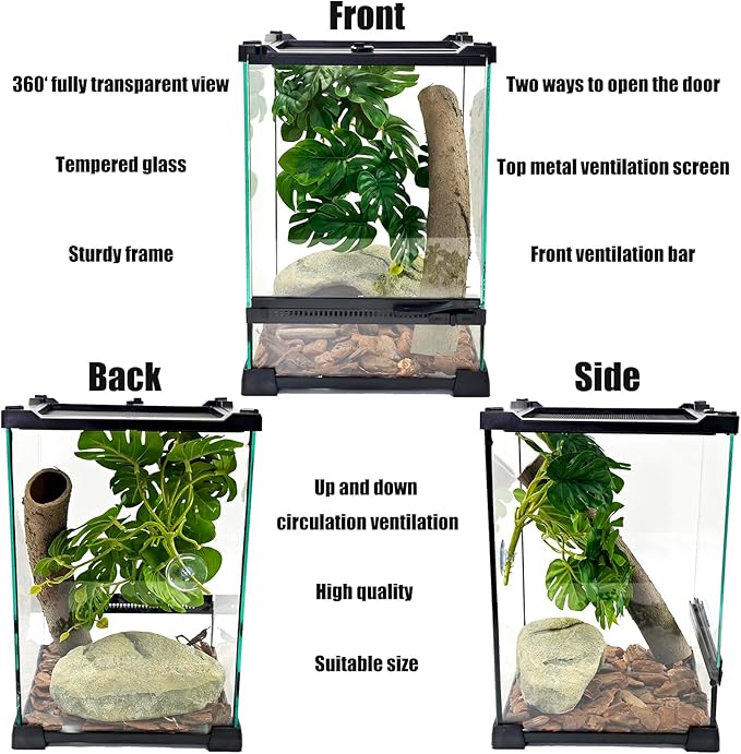 Woyrise Reptile Glass Terrarium Tank 8"x8"x12", Front & Top Opening Door Full View Visually Appealing Mini Reptile or Amphibians Habitat, Stackable Vertical Enclousure for Small Reptiles