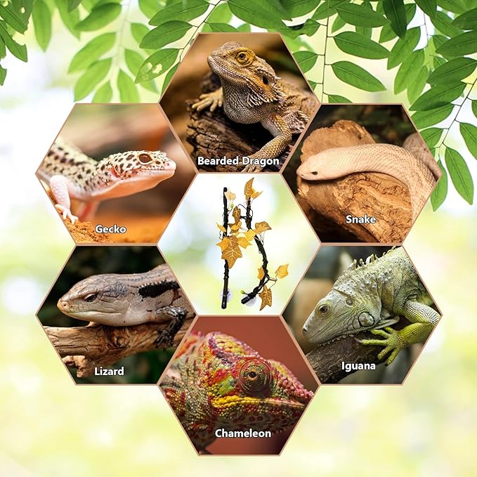 BNOSDM Reptile Climbing Branch Flexible Bend-A-Branch Jungle Vines Terrarium Plant Decoration with Suction Cup for Crested Gecko Chameleon Gecko Snake Tree Frog 2PCS, Yellow