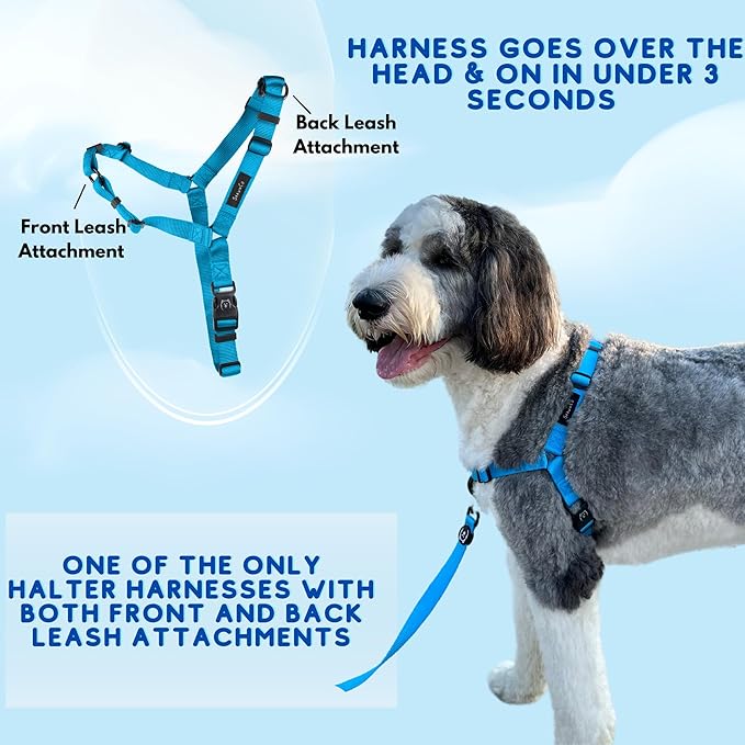 ShawnCo Dream Walk No-Pull Dog Harness- Adjustable, Comfortable, Easy to Use Pet Halter to Help Stop Pulling for Small, Medium and Large Dogs (Mustang Red, M)