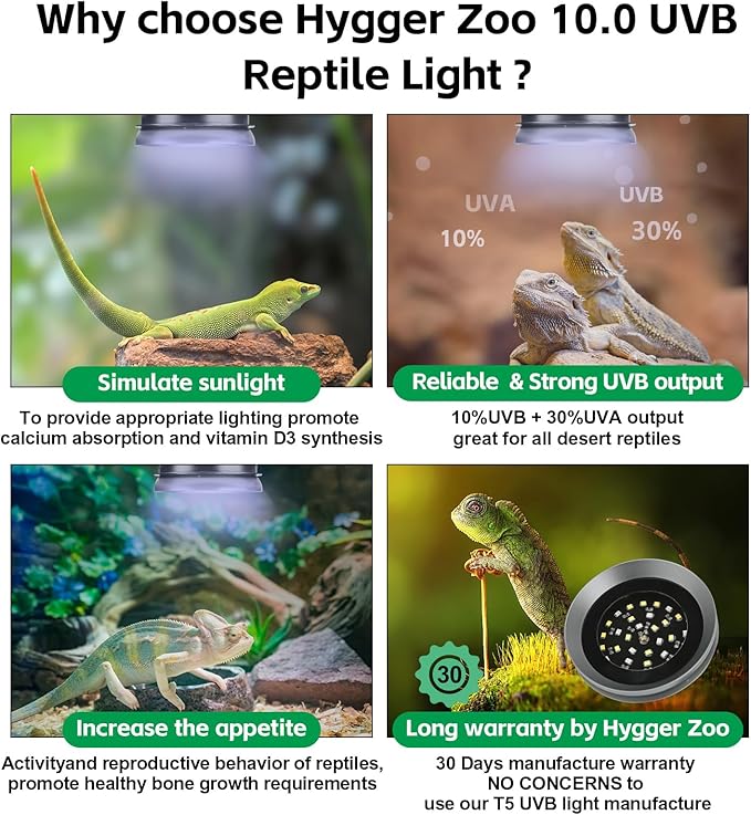 UVB Light for Reptiles with Dimming UVA UVB Reptile Light Fixture with Timer LED UVB Bulb for Bearded Dragon Gecko Turtle Chameleon Lizard Snake Adjustable Brightness Reptile Tank Accessories 6W Grey