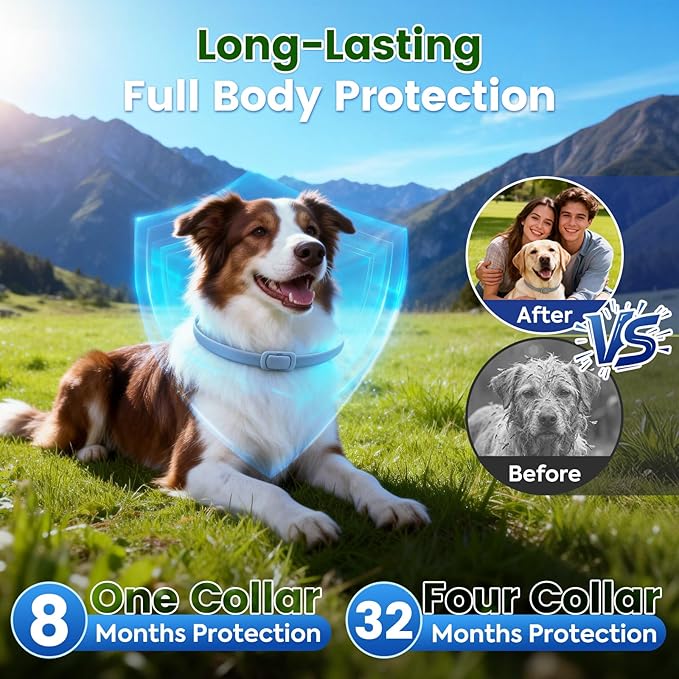 Flea and Tick Collar for Dogs, 4 Packs Flea Collar for Dogs with Natural Essential Oils, Waterproof & Adjustable Flea and Tick Prevention Collar for Small Medium Large Dogs & Puppies, Grey