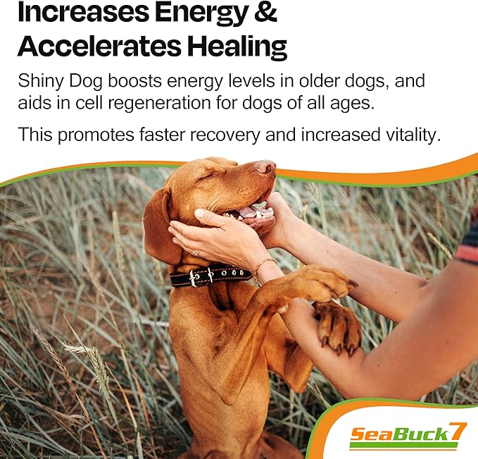 SeaBuck 7 Shiny Dog Sea Buckthorn Oil to Improve Dog Health (2-4 Month Supply, 60ml) – Supports Shiny Coat, Healthy Digestion, and Skin & Paw Pad Health for Dogs