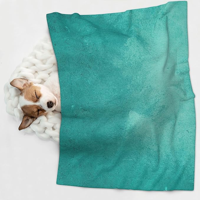 Waterproof Dog Blanket Soft Pet Blanket for Puppy Cat, Fleece Cat Throw Blankets for Furniture Bed Couch Sofa Reversible - Teal Turquoise1