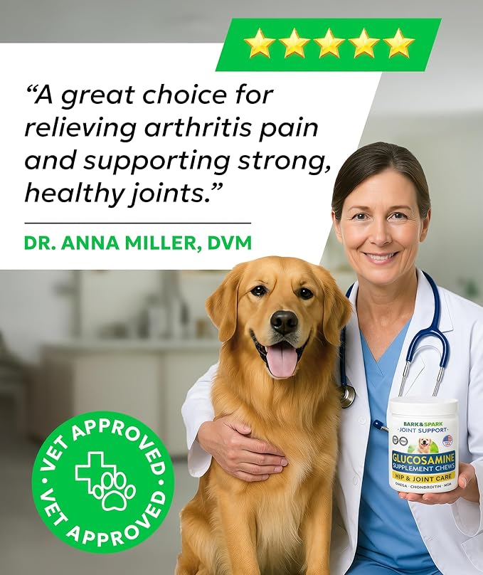 BARK&SPARK Glucosamine Chondroitin Dog Hip & Joint Supplement - Joint Pain Relief - Hip & Joint Chews - Joint Support Large Small Breed - Senior Doggie Vitamin Pill Joint Health (120 Treats - Bacon)