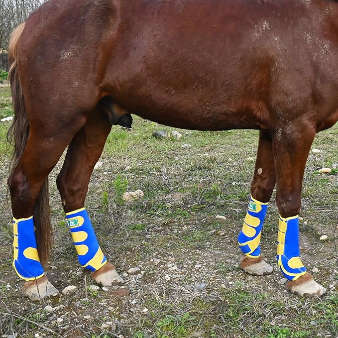 Equine Sport Horse Boots Set of 4 – Neoprene Leg Protection with Durable Hook & Loop Straps, Breathable & Comfortable Fit for Training, Riding, and Performance（Blue, Large）
