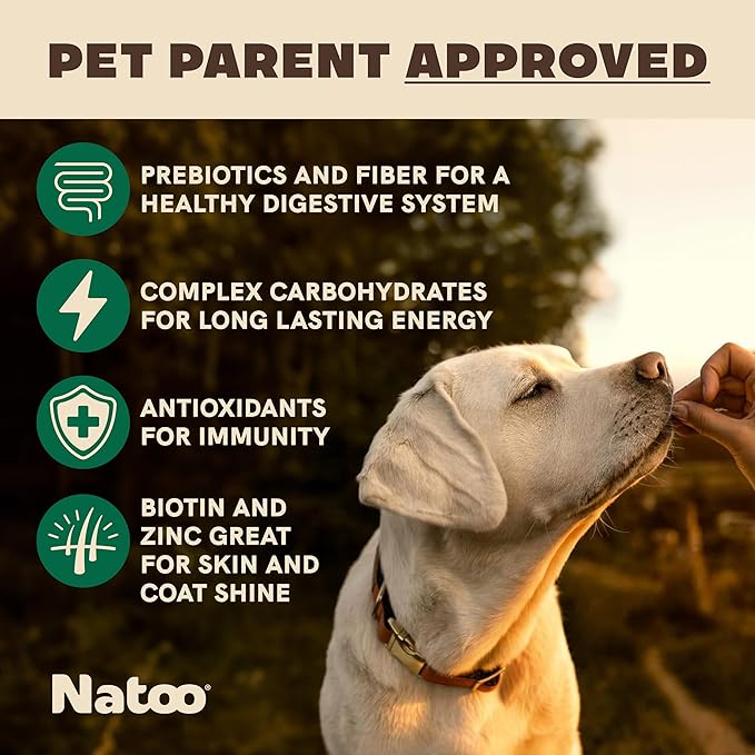 NATOO Biscuits for Small Dogs & Puppies - Crunchy Treats Coconut & Mango – Healthy Natural Dog Biscuits, Rich in Omega 6, Prebiotics & Fiber, Antioxidants for Immunity (8 oz)