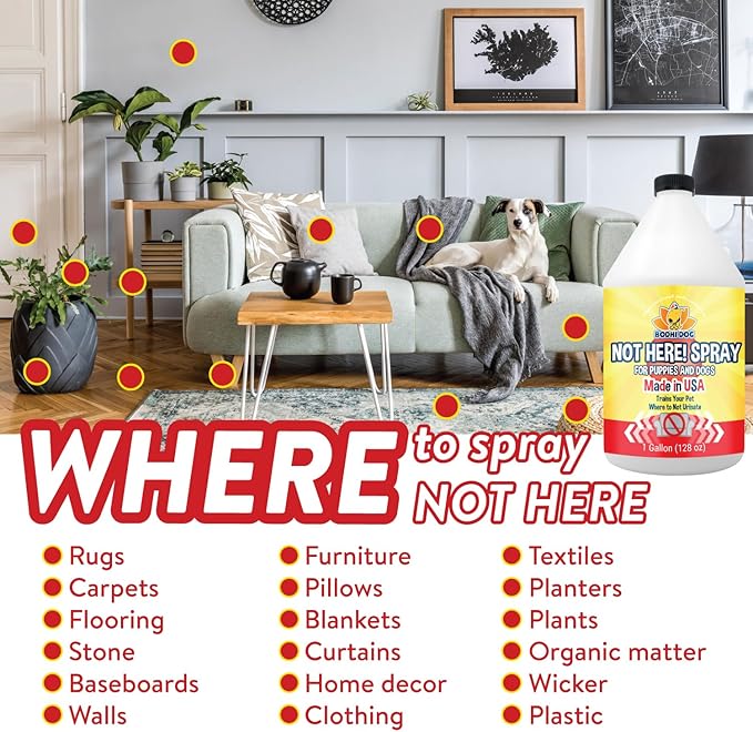 Bodhi Dog Not Here! Spray - Trains Your Pet Where Not to Pee Indoors or Outdoors - Anti Marking Deterrent for Furniture, Carpet & Floor - Training Corrector for Puppy & Dogs - Made in USA (128 Fl Oz)