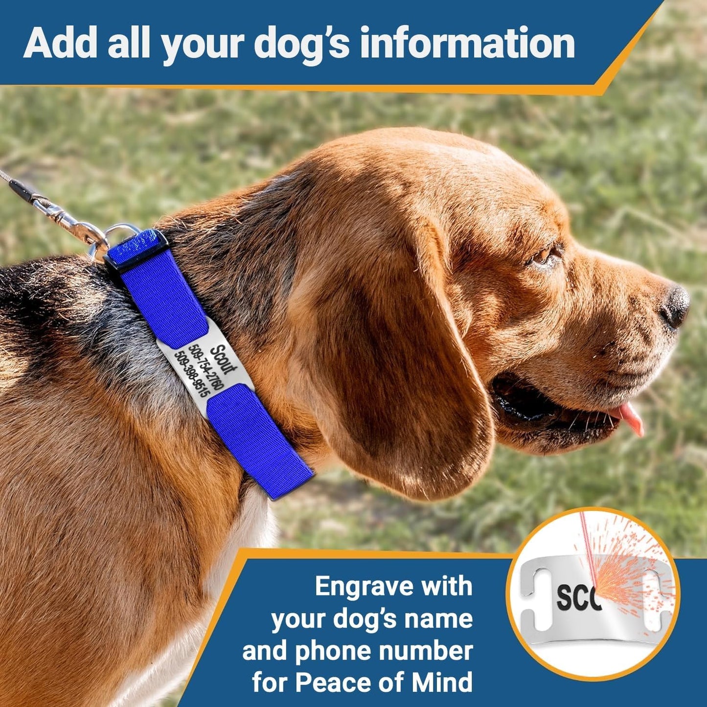 GoTags Reflective Personalized Dog Collar with Nameplate, Adjustable Dog Collar with Custom Engraved Steel Slide On Pet ID Tag, Silent, No Noise Dog Tag for Large Medium or Small (Hunter Green, Large)