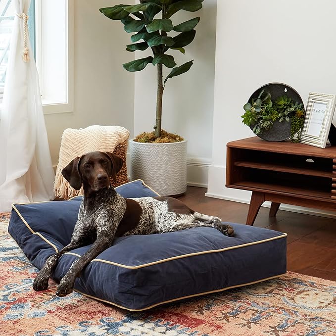 South Pine Porch Buddy Reversible Rectangle Pillow Style Microfiber Dog Bed with Removable, Machine-Washable Cover, Denim, Medium (42 in. x 30 in.)