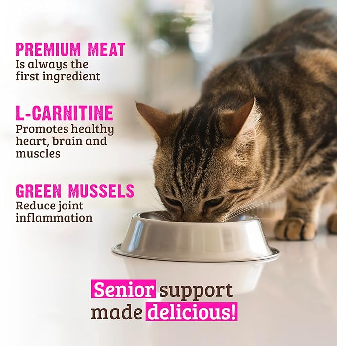Rawz Natural Premium Pate Canned Cat Wet Food - Made with Real Meat Ingredients No BPA or Gums - 5.5oz Cans 24 Count (Salmon & Green Mussels for Seniors)