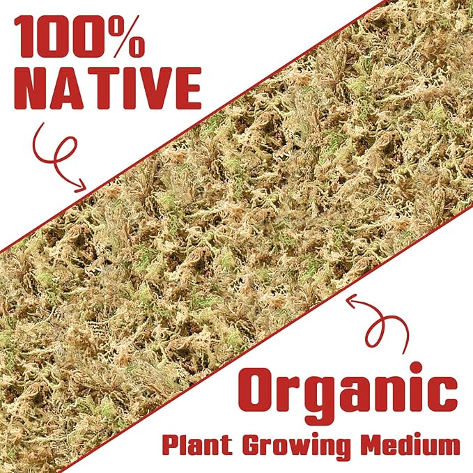 Halatool Premium New Zealand Sphagnum Moss, 500g(40L When Hydrated), for Orchid Repotting Succulent Sarracenia Potted Plants Gardening & Reptiles