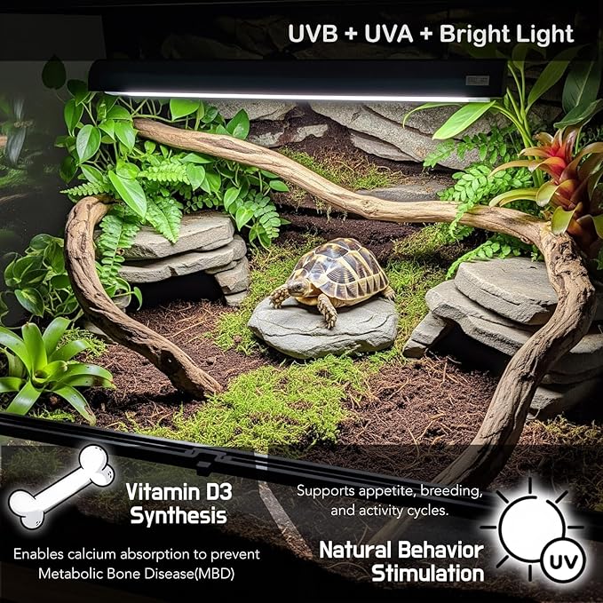 Upgraded T5 UVB Reptile Light, 10.0 UVB 24W German Made Fluorescent Lamp and Fixture Kit, for Desert-Dwelling Reptiles, Bearded Dragon UVB Lamp Bulb