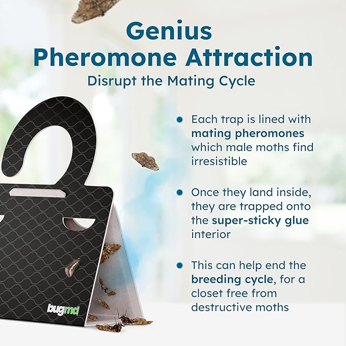 BugMD Clothes & Pantry Moth Traps (18 Count) – Sticky Glue Pheromone-Based Repellent for Closets, Cabinets & Wardrobes – Non-Toxic - Black