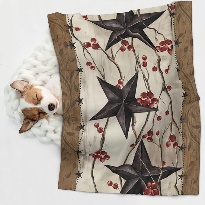 Southwest Blanket for Pet - Vintage Western Throw Blanket 40x30 Star Couch Blankets for Puppy Dogs Cats