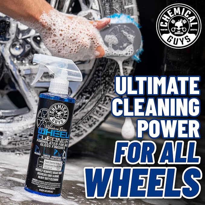 Chemical Guys HOL123 Car Cleaning Kit