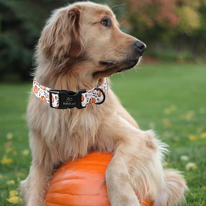 Fall Dog Collar, Cute Orange Pumpkin Pattern Puppy Collar, Soft Comfort Adjustable Holiday Thanksgiving Dog Collars for Small Medium Large Boy&Girl Dogs L