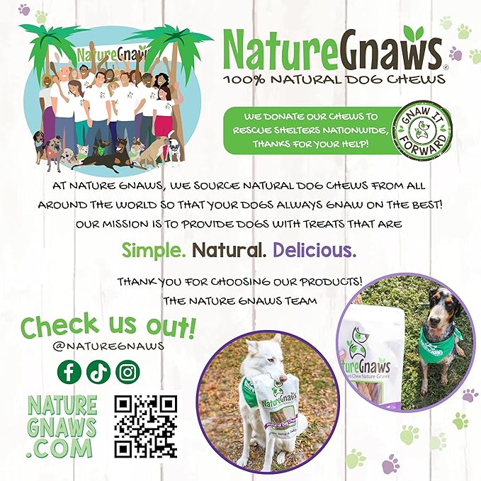 Nature Gnaws Extra Thin Pork Bully Sticks for Small Dogs 5-6" (15 Count) - Long Lasting for Light Chewers and Puppies - Natural Bacon Dog Chew Treats