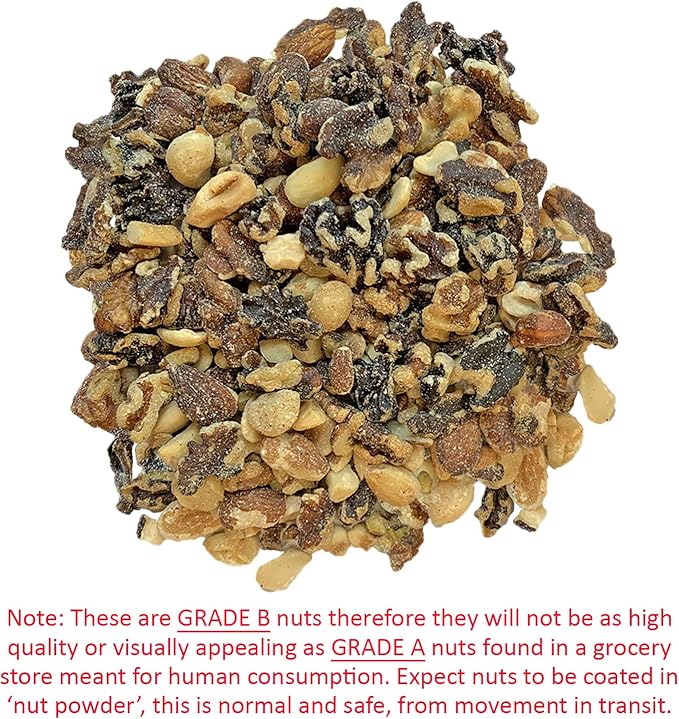 Exotic Nutrition Premium Nut Mix - Unroasted, Unsalted Walnuts, Hazelnuts, Almonds - Food & Treat for Squirrels, Parrots & Other Small Pets (5 lb.)