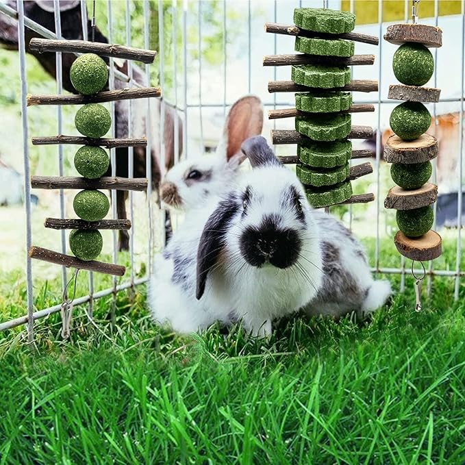 BallHull 3 Pcs Bunny Teeth Grinding Chew Toys, Apple Branch Chewing Sticks with Grass Ball and Grass Cake for Rabbits Bunnies Hamsters Guinea Pigs