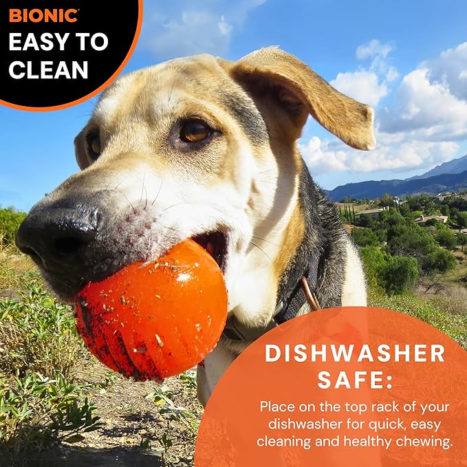 BIONIC Ball Dog Toy, Large - Interactive Dog Chew Toy That Stands Up to The Toughest Chewers, for Dogs Between 30-60+ lbs. (13-27+ kg.)