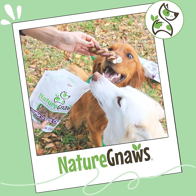 Nature Gnaws Braided Pork Bully Sticks for Dogs 5-6" (20 Count) - Long Lasting for Small and Medium Dogs - Natural Bacon Dog Chew Treats - Rawhide Free