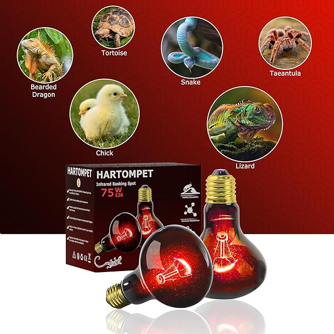 75W UVA Infrared Heat Lamp Bulb, Red Basking Spot Light for Lizard, Leopard Gecko, Turtle, and Chicks, High-Performance Red Heat Emitter for Reptile Tanks, Chicken Brooders & Terrariums