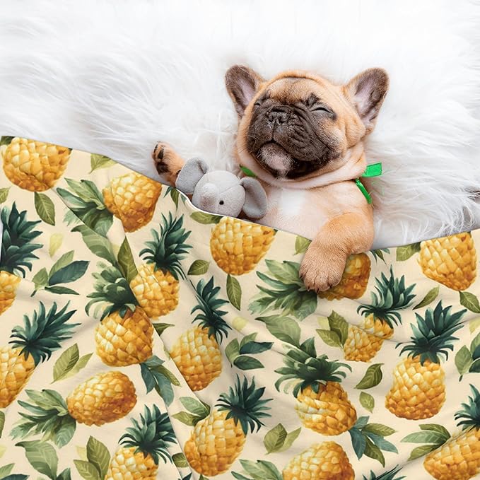 Waterproof Dog Blanket Soft Pet Blanket for Puppy Cat, Fleece Cat Throw Blankets for Furniture Bed Couch Sofa Reversible - Pineapple