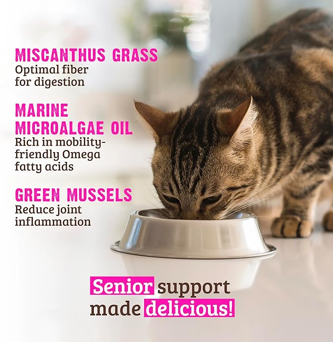 Rawz Natural Premium Pate Canned Cat Wet Food - Made with Real Meat Ingredients No BPA or Gums - 5.5oz Cans 24 Count (Beef & Green Mussels for Seniors)