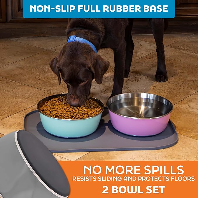 Master Pet Supply Stainless Steel Dog Bowls Set of 2 (64 Oz Each) with Non-Slip Rubber Base - Graphite - Basic Dog Food Bowl Water & Food Bowls for Small Medium Large Dogs & Cats, Metal Dish