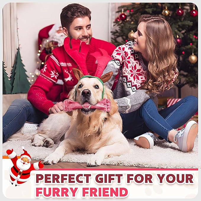 Dog Toys for Aggressive Chewers, Indestructible Dog Bones for Aggressive Chewers, Tough Chew Toy for Heavy Duty Dogs, Big Teething Toys with Durable Nylon for Large/Medium Breed Puppies
