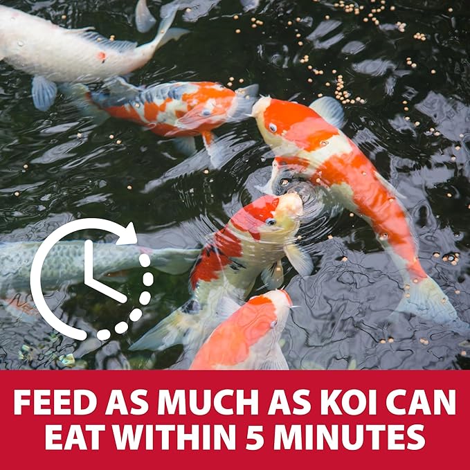 The Pond Guy Growth & Vibrance Fish Food for Show Quality Koi & Goldfish, Premium Protein Floating Pellets for Balanced Nutrition, 12 lbs