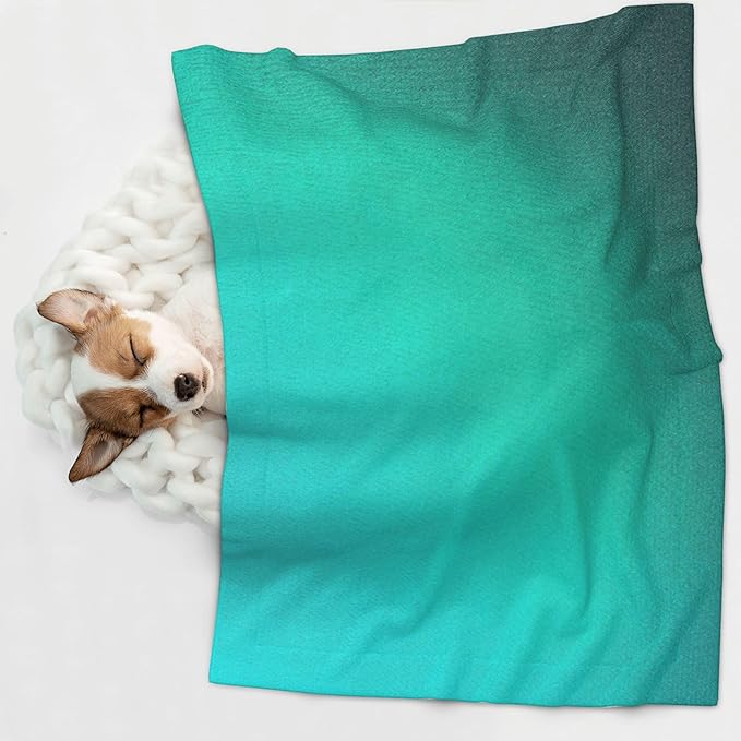 Waterproof Dog Blanket Soft Pet Blanket for Puppy Cat, Fleece Cat Throw Blankets for Furniture Bed Couch Sofa Reversible - Turquoise Light Blue