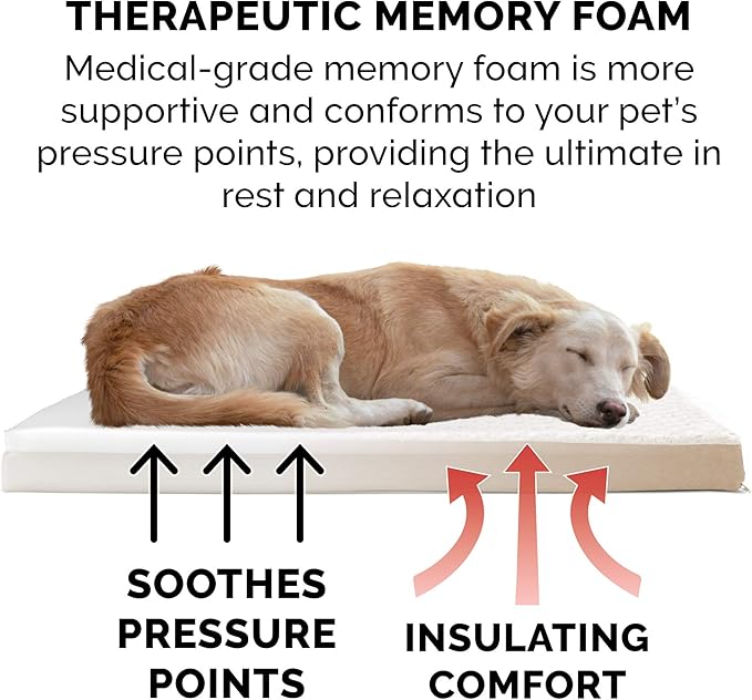 Furhaven Memory Foam Dog Bed for Large/Medium Dogs w/ Removable Washable Cover, For Dogs Up to 55 lbs - Ultra Plush Faux Fur & Suede Mattress - Cream, Large