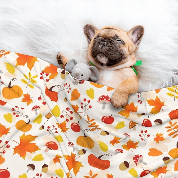 Fall Blanket for Dog Cat - Pumpkin Mushroom Throw Blanket 23x16 Halloween Autumn Pet Blanket for Couch Sofa Bed