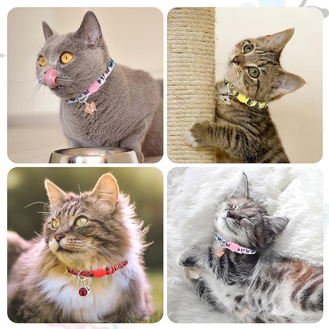 Cat Collar Breakaway with Bells, 3 Pack Spring Flower Cat Collars for Girl Boy Cats, Cute Kitten Collars with Safety Buckle Adjustable 8"-12" for Outdoor Indoor Kitty Puppy Small Pets, Insect