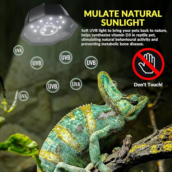 GlowUp UVA UVB Reptile Light 10W, LED UVB Light Bulb Fixture 120V with Dimming for Bearded Dragons, Turtles, Chameleons - 2 Modes UVA UVB Light Suitable for Tropical & Desert Reptiles