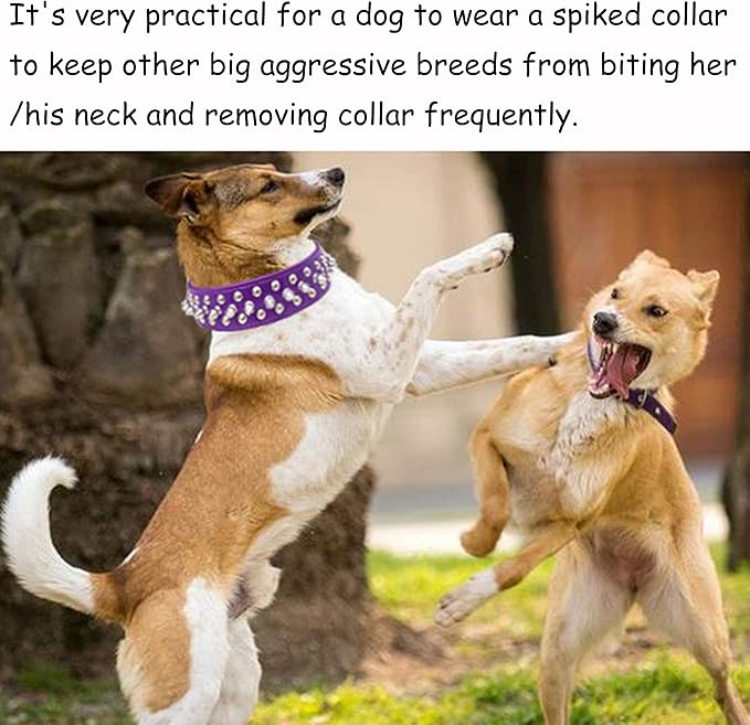TEEMERRYCA Adjustable PU Leather Spiked Studded Dog Collars with a Squeak Ball Gift for Small Medium Large Pets Like Cats/Pit Bull/Bulldog/Pugs/Husky, Purple, XL 17.7"-20.5"