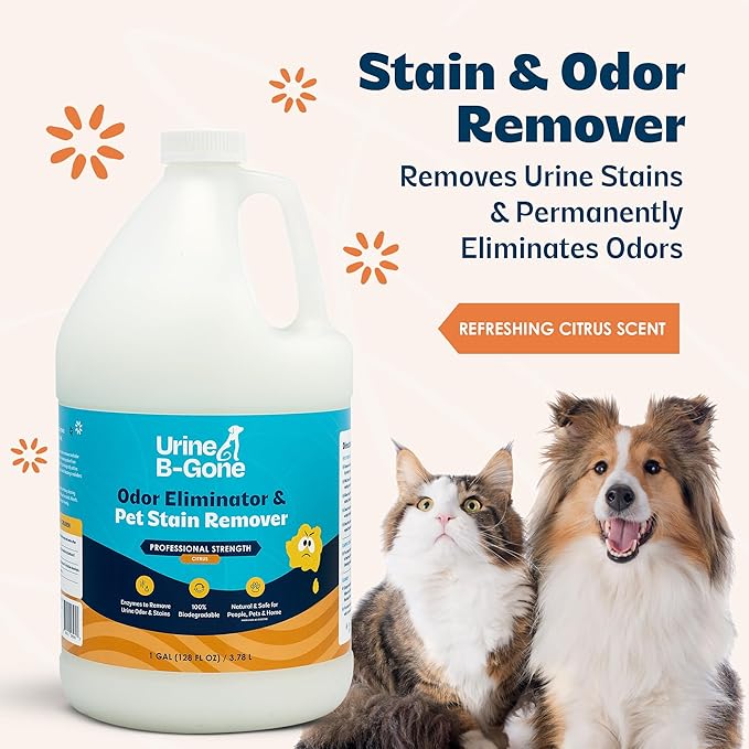 Urine B-Gone, Professional Enzyme Odor Eliminator & Pet Stain Remover, Human, Cat & Dog Urine Cleaner, Effective on Laundry, Carpets & More, Citrus Scent, 1 Gallon