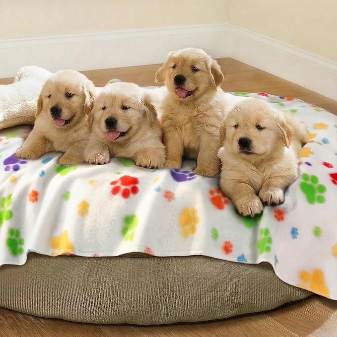 LINENLUX Cute Dog Blanket for Small Medium Dogs 6-Pack Soft Stretchy Fleece Blankets for Pet Cat Puppy Warm Wrinkle-Resistant Throw for Couch Bed Outdoor White 40x31 inch (Pack of 6)