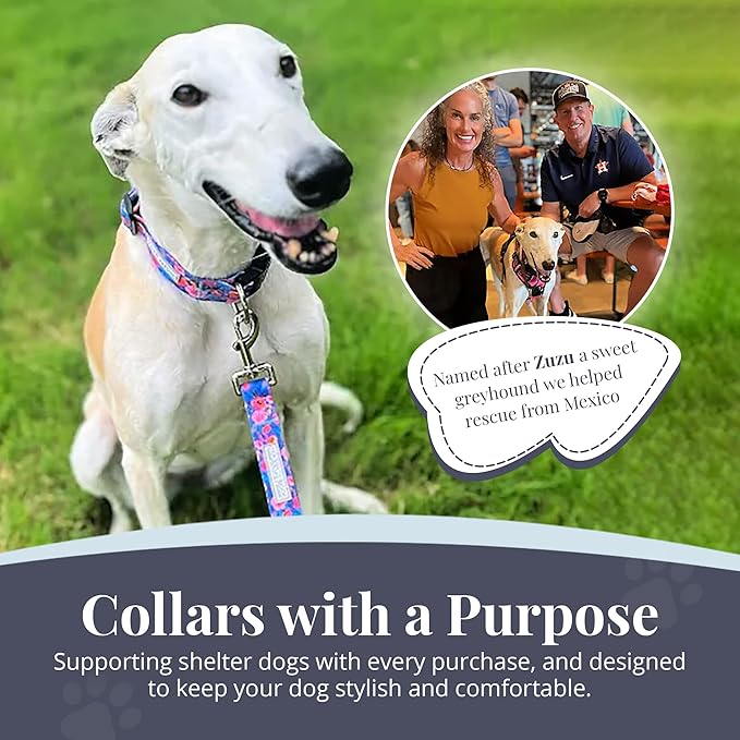 Lucky Love Dog - Adjustable Dog Collar with Easy Click Buckle for Small Dogs, Durable, & Comfortable Collar for Male & Female Dogs, Pet Collar for Puppies & Adult Dogs - Zuzu, XS