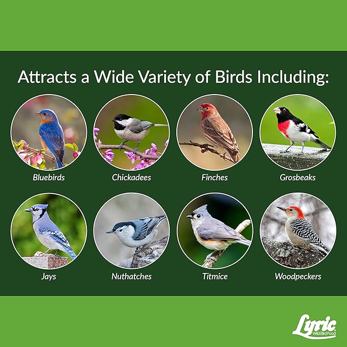 Lyric 26-47410 Fine Tunes No Waste Bird Seed Mix-15 lb, 15 lb