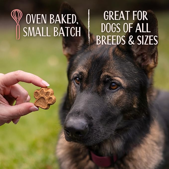 L'artisan Canine Barkerie Biscuits | Crunchy Dog Treats | French Recipes | Made in the USA | 8oz (Salmon)
