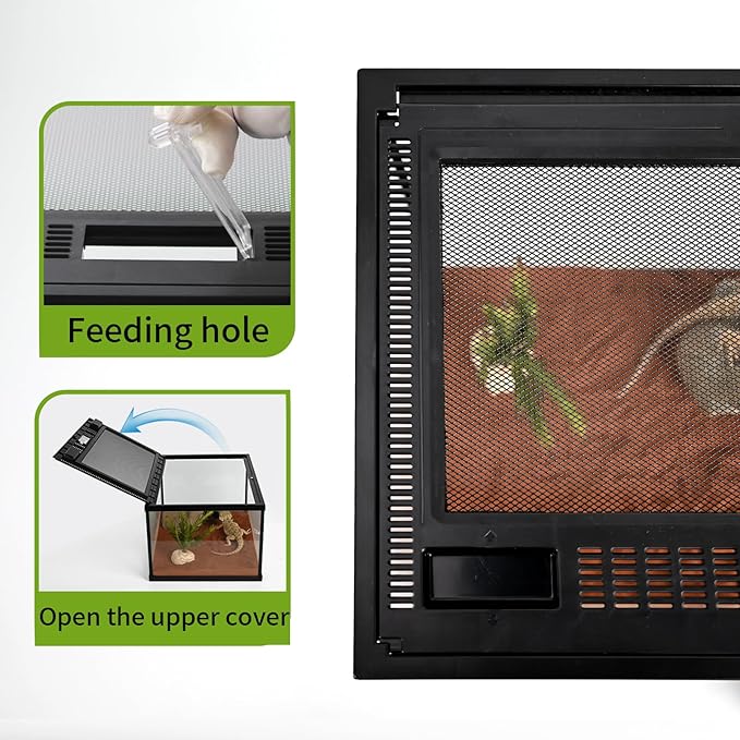 Reptile Glass Tank 16"x11"x9" Terrarium with Top Opening and Screen Ventilation for Leopard Gecko,Lizard,Hermit Crab,Snake,Spider,Frog,Bearded Dragon,Turtle with Feeding Tongs